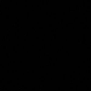 Meet your Posher, Hunter